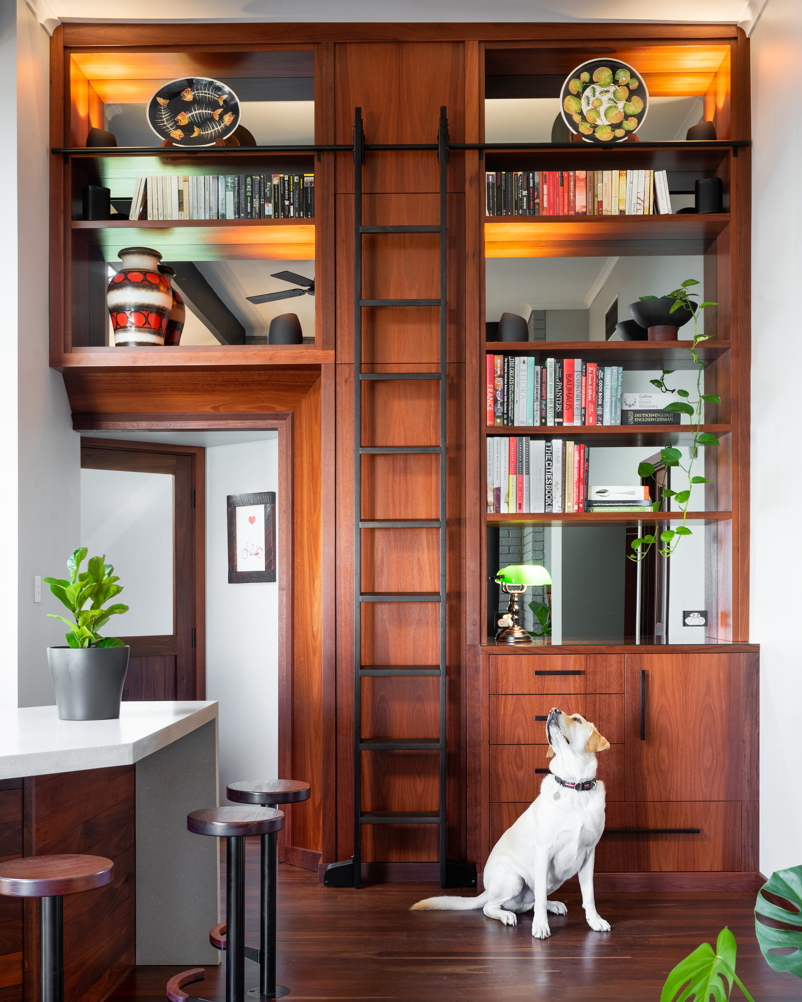 Custom Cabinets Perth | Built in bookshelves | Bookcases with ladders